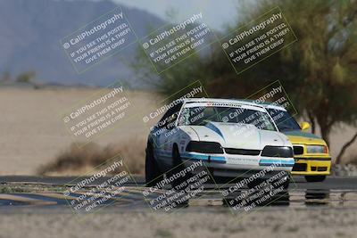 media/Oct-12-2025-Lucky Dog Racing (Sun) [[8adb5568ea]]/3-Third    Stint/4-Turn 4 (Tree of Life)/